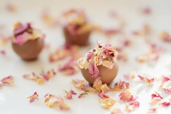 Cresus Casino Android/iOS App